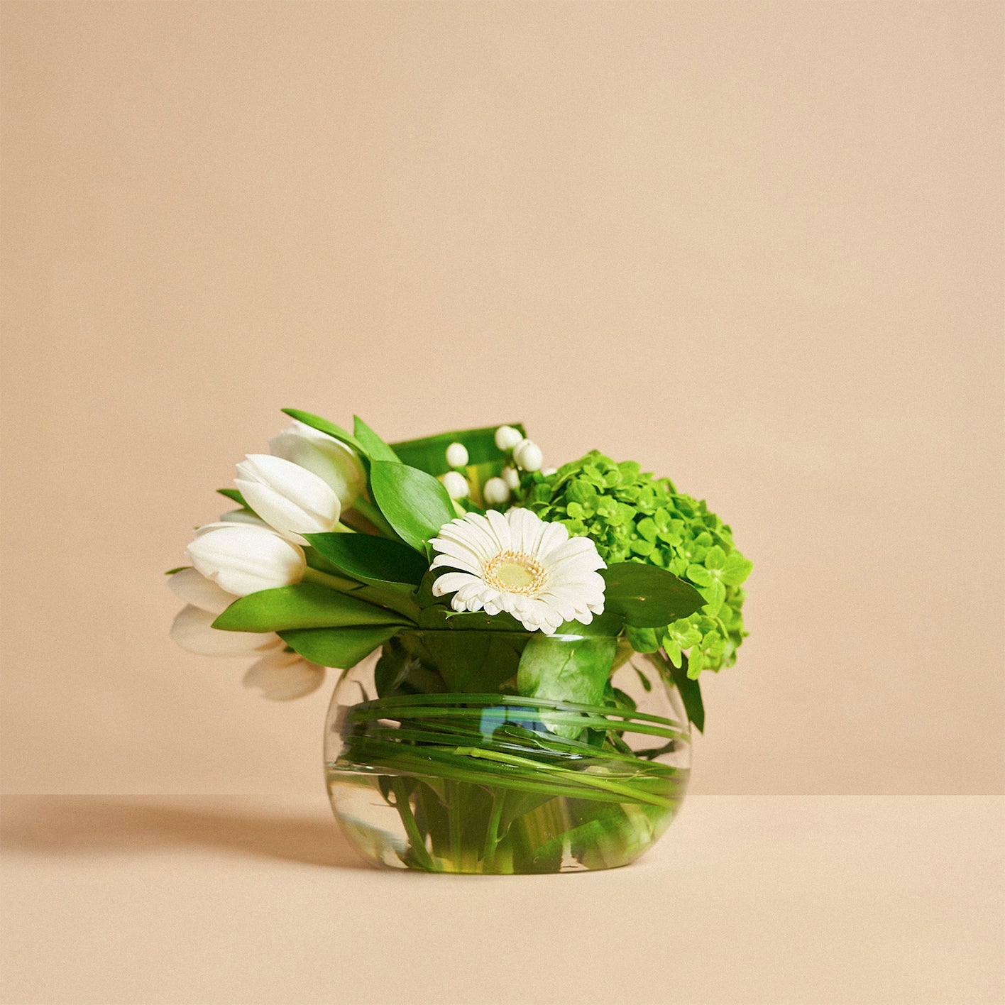 فازة مدورة شفافة